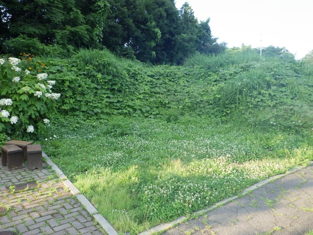 413.74 sqm Residential Land for Sale in Iizuna, Nagano - Thumbnail 3