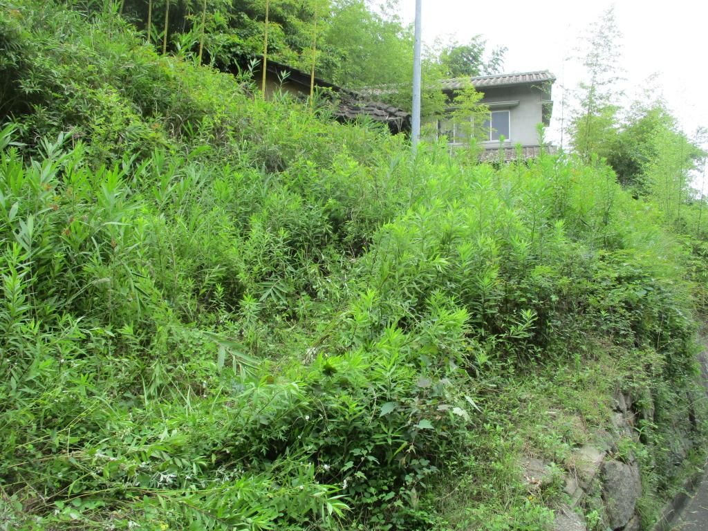 1978 5DK Vacant House on Large Plot in Kasaoka, Okayama - Thumbnail 2