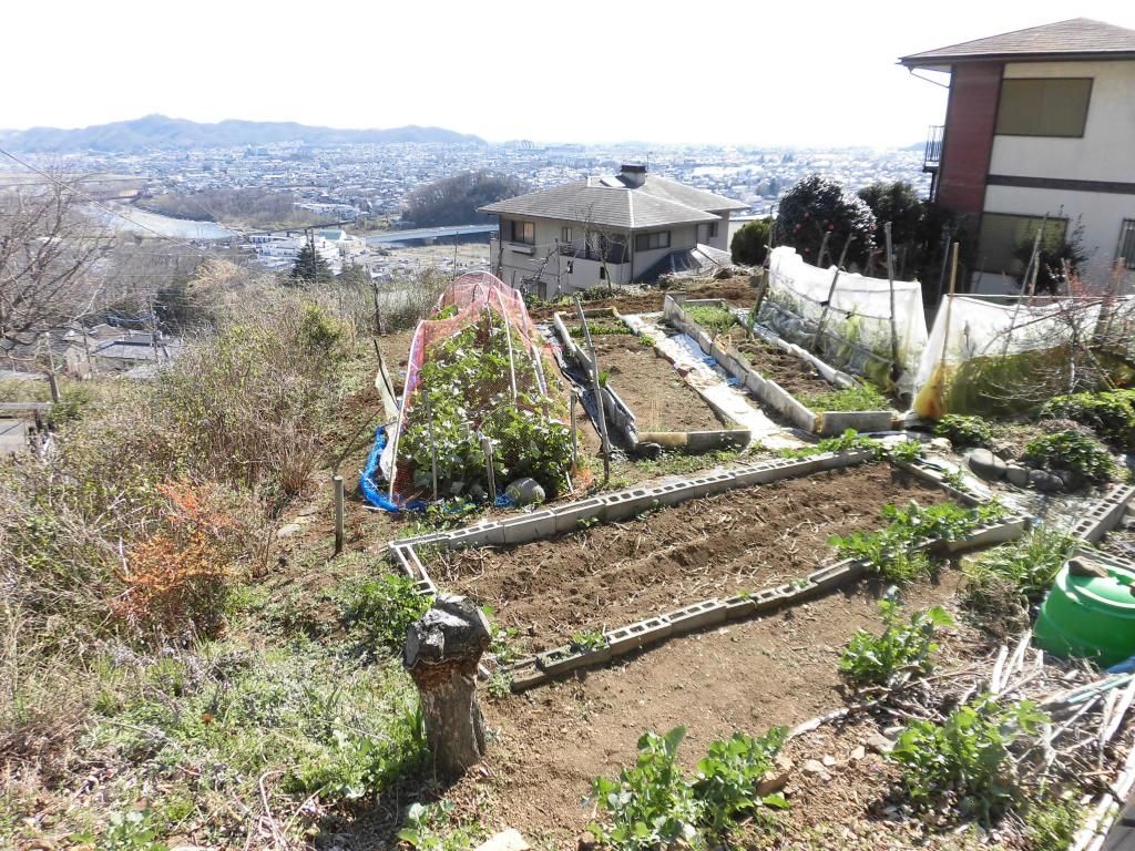 Vacant Residential Land in Kiryu's Aobadai Development, Gunma - Thumbnail 4