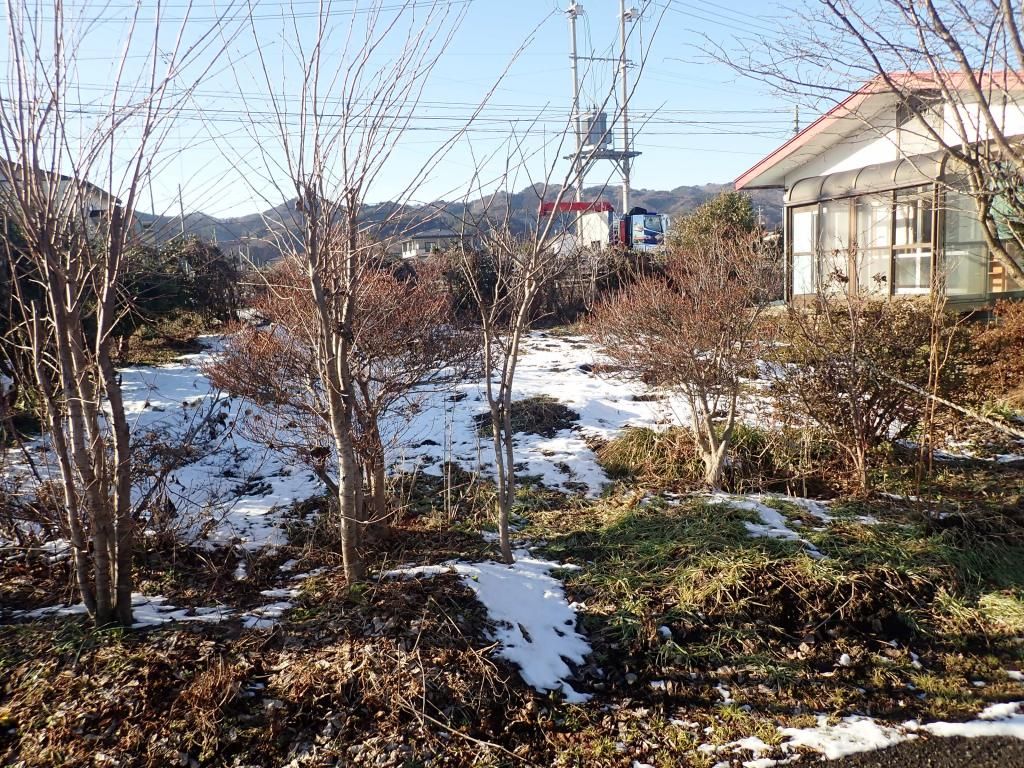 Spacious 182m² Detached House for Rent in Takizawa, Iwate - Thumbnail 4