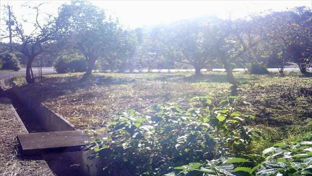 4DK Detached House for Sale on 1282 sqm in Takanabe, Miyazaki - Thumbnail 3