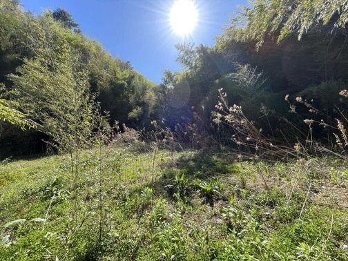 Vacant Land for Sale in Tamura City, Fukushima - 304.64 sqm - Thumbnail 3