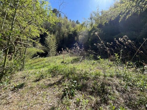 Vacant Land for Sale in Tamura City, Fukushima - 304.64 sqm - Thumbnail 2