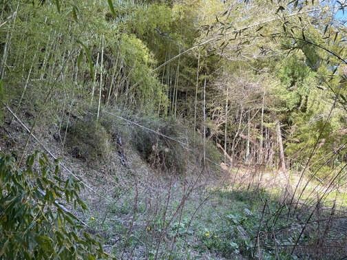 Vacant Land for Sale in Tamura City, Fukushima - 304.64 sqm - Thumbnail 4