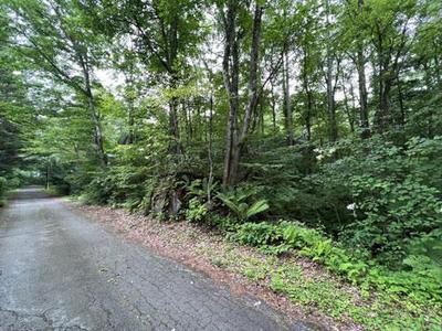 23-0014 - Property Details - Gunma Prefecture Tsumagoi Village Vacant House Bank Site — Land, Murakami, Gunma