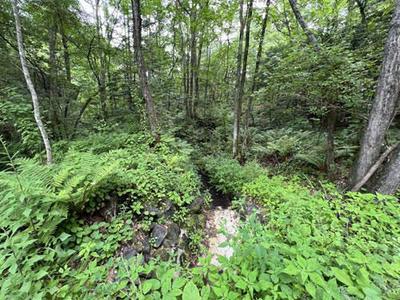 23-0014 - Property Details - Gunma Prefecture Tsumagoi Village Vacant House Bank Site — Garden, Murakami, Gunma