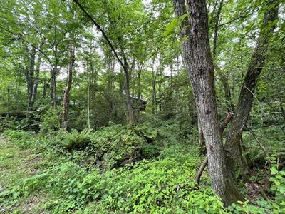 23-0014 - Property Details - Gunma Prefecture Tsumagoi Village Vacant House Bank Site — Garden, Murakami, Gunma