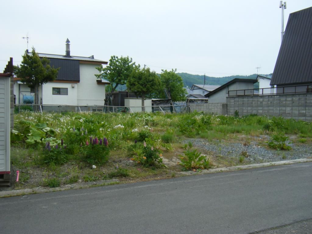 343 sqm Vacant Land for Sale Near Ashibetsu Station, Hokkaido - Thumbnail 2