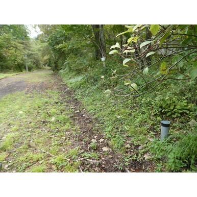 Vacant Land for Villa in Tsumagoi, Gunma - 417 sqm Plot - Thumbnail 3