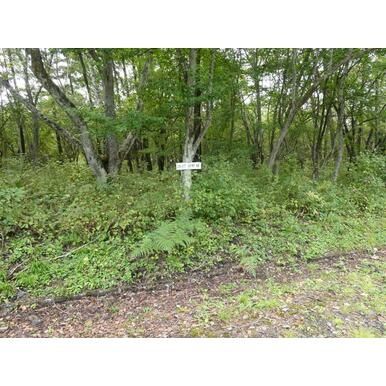 Vacant Land for Villa in Tsumagoi, Gunma - 417 sqm Plot - Thumbnail 2