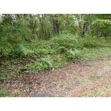 Vacant Land for Villa in Tsumagoi, Gunma - 417 sqm Plot - Thumbnail 4
