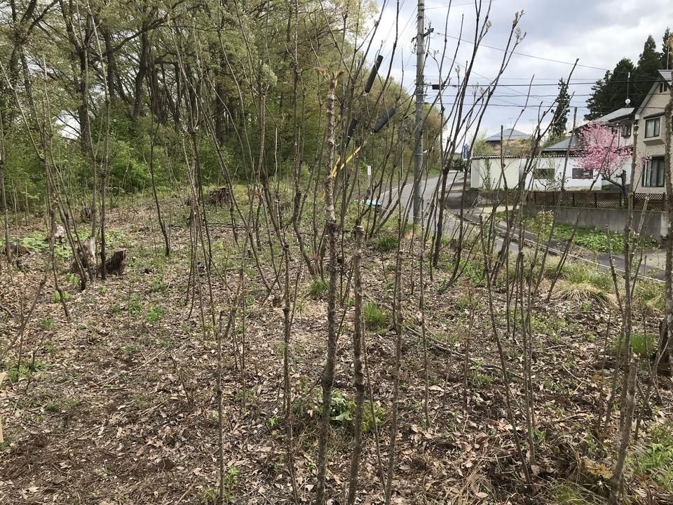 Vacant Land for Sale in Iizuna Town, Nagano - 701.99 sqm - Thumbnail 2
