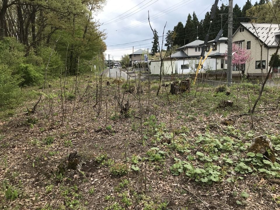Vacant Land for Sale in Iizuna Town, Nagano - 701.99 sqm - Thumbnail 4