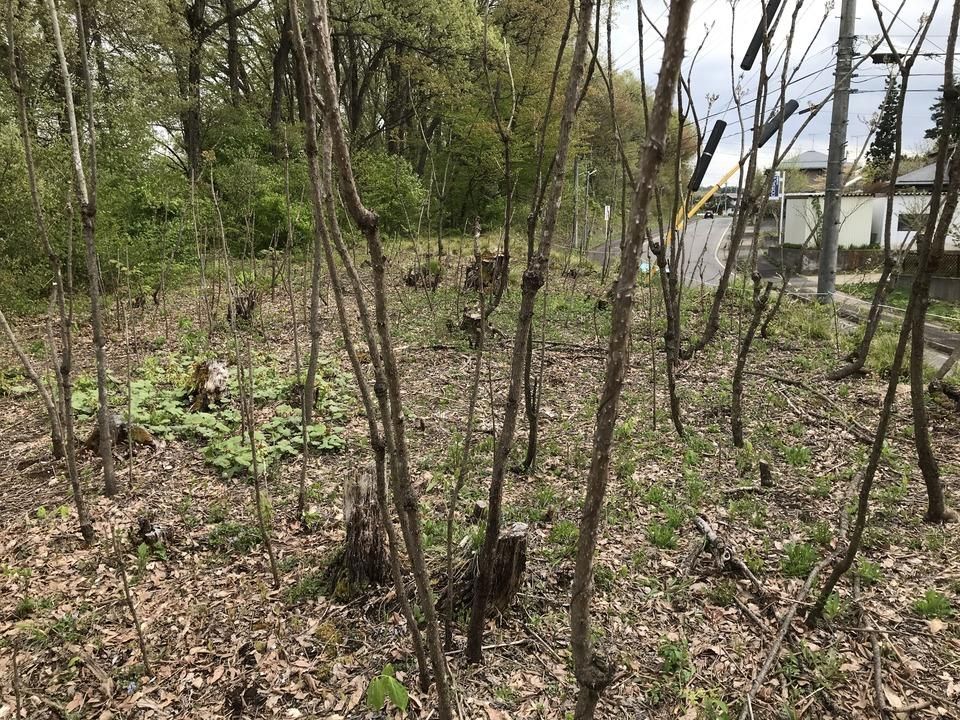 Vacant Land for Sale in Iizuna Town, Nagano - 701.99 sqm - Thumbnail 3