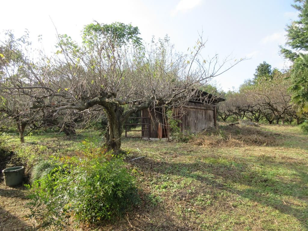 6DK House with 1204 sqm Farmland for Sale in Shibukawa, Gunma - Thumbnail 2