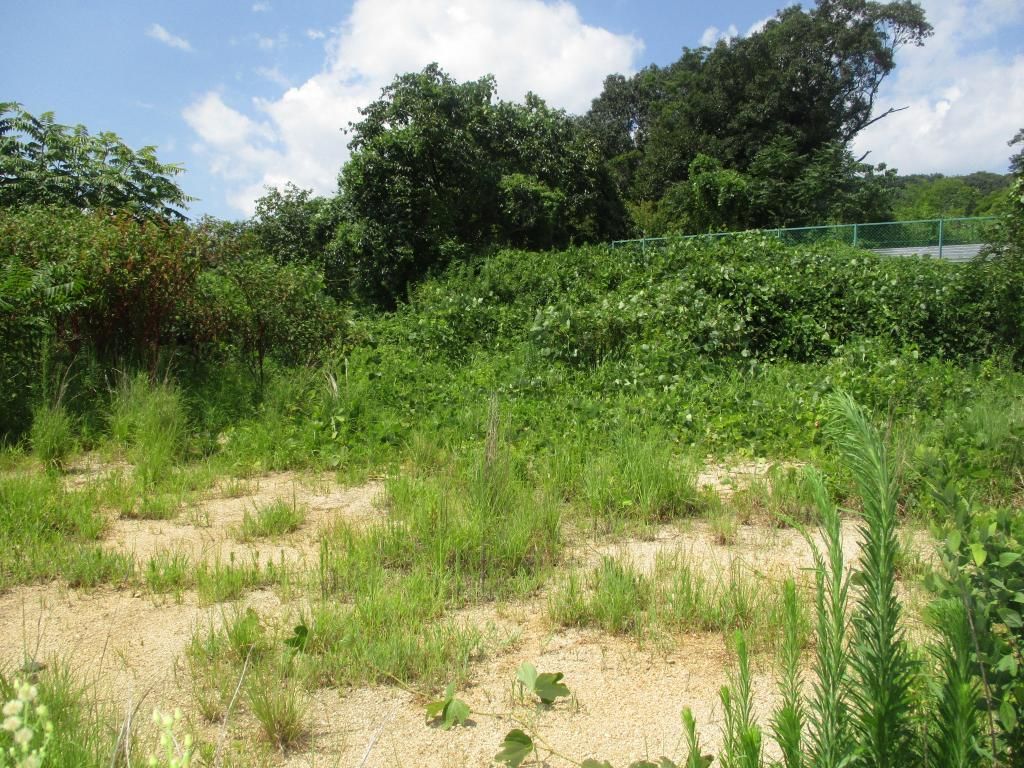576 sqm Vacant Land for Sale in Kasaoka, Okayama - Thumbnail 4