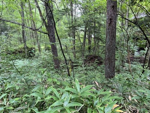 573m2 Vacant Land for Sale in Tsumagoi, Gunma - Thumbnail 4