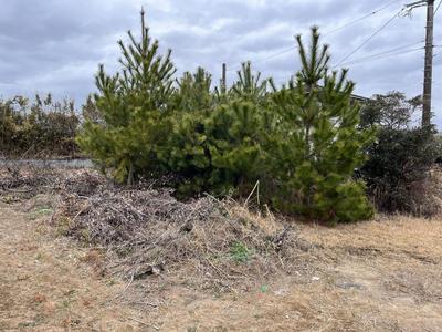 Vacant House Bank No.016 - Property Details - Miyazaki Prefecture Kunitomi Town Vacant House Bank Site — Image 3, Kunitomi, Miyazaki
