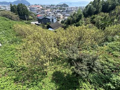 Vacant Land in Kadogawa, Miyazaki with Sea Views — Land, Kadokawa, Miyazaki