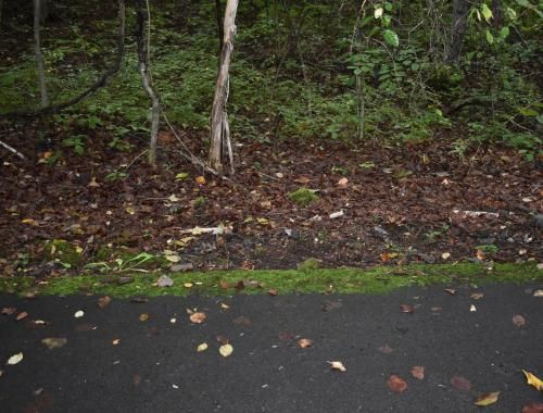 402 sqm Vacant Land for Sale in Tsumagoi Village, Gunma - Thumbnail 2