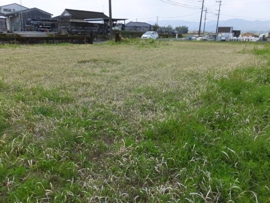Vacant Land for Sale in Ebino City, Miyazaki - 703.65 sqm - Thumbnail 4