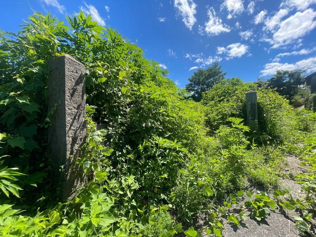 1,551 sqm Land Plot for Sale in Uki City, Kumamoto - Thumbnail 3