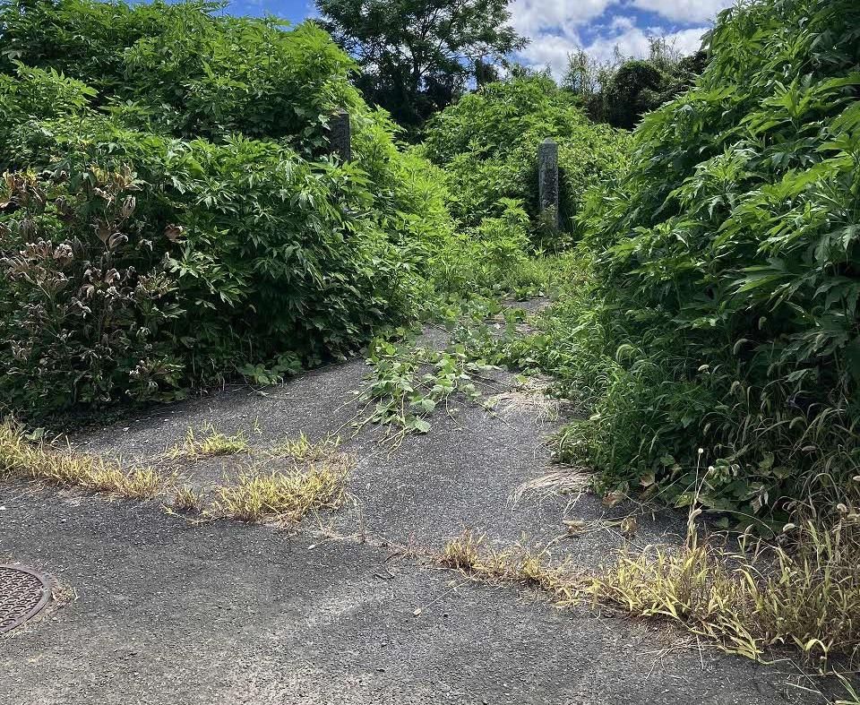 1,551 sqm Land Plot for Sale in Uki City, Kumamoto - Thumbnail 4