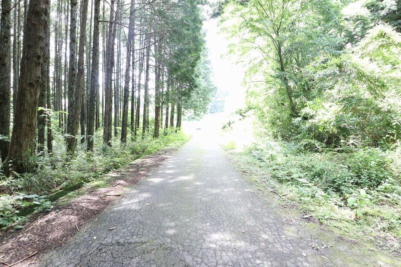 552 sqm Land Plot in Kanuma, Tochigi - Vacant Lot Near Nikko - Thumbnail 2