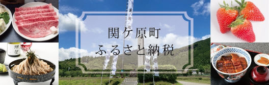 9LDK Traditional House in Historic Sekigahara - Thumbnail 3