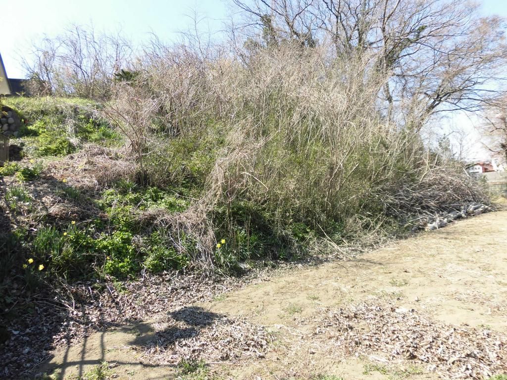 657 sqm Land for Sale in Kiryu, Gunma - Ogura River Area - Thumbnail 3