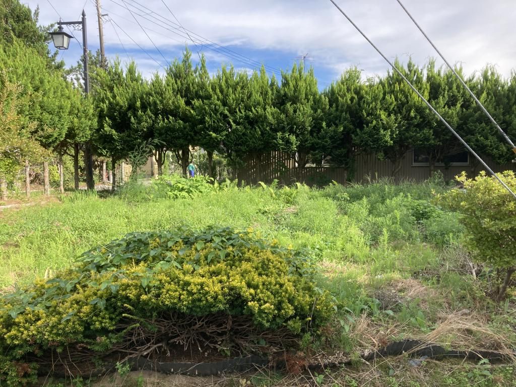 Vacant Land for Sale in Tamura City, Fukushima - 220.85 sqm - Thumbnail 4
