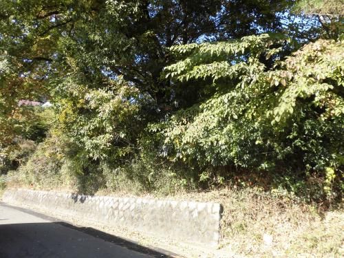 Residential Land for Sale in Kiryu's Aobadai Subdivision, Gunma - Thumbnail 3