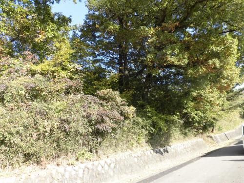 Residential Land for Sale in Kiryu's Aobadai Subdivision, Gunma - Thumbnail 2