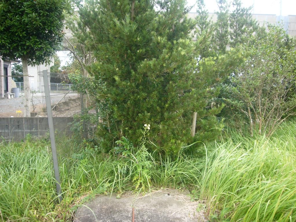 Residential Land with Garden Plot for Sale in Uki City, Kumamoto - Thumbnail 4