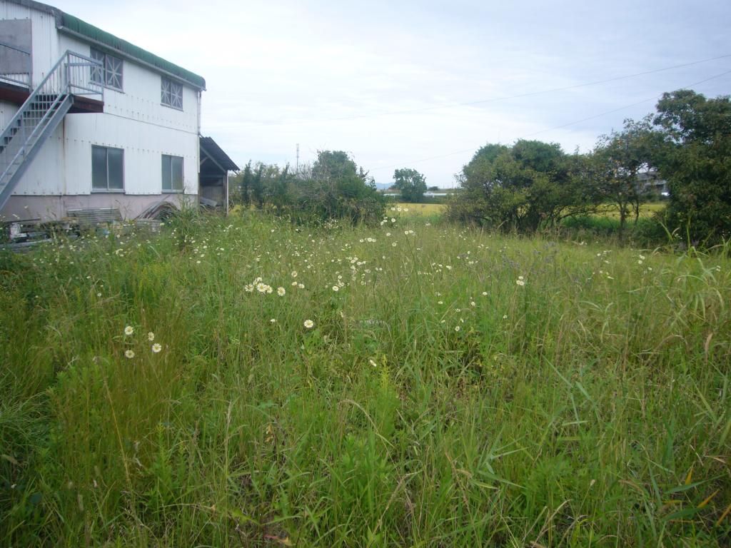Residential Land with Garden Plot for Sale in Uki City, Kumamoto - Thumbnail 2