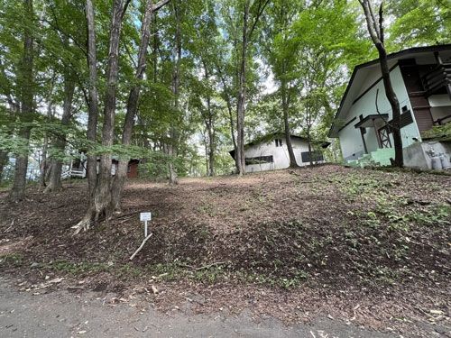 Vacant Land for Sale in Tsumagoi Village, Gunma - Thumbnail 3
