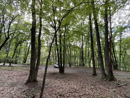 Vacant Land for Sale in Tsumagoi Village, Gunma - Thumbnail 4