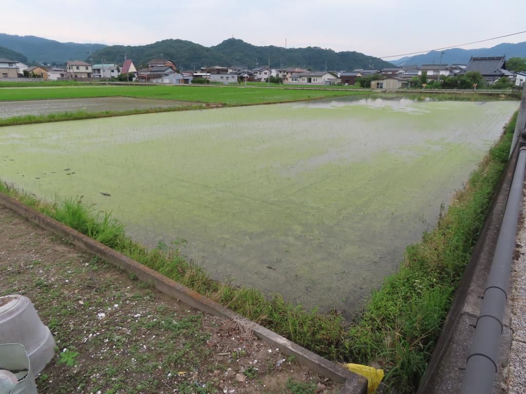Agricultural Land for Lease in Yakage, Okayama Prefecture - Thumbnail 2