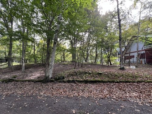 Vacant Land for Sale in Tsumagoi Village, Gunma - 911 sqm - Thumbnail 2