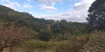 Renovated Shop-Residence in Wake Town, Okayama — Image 1, Wake, Okayama