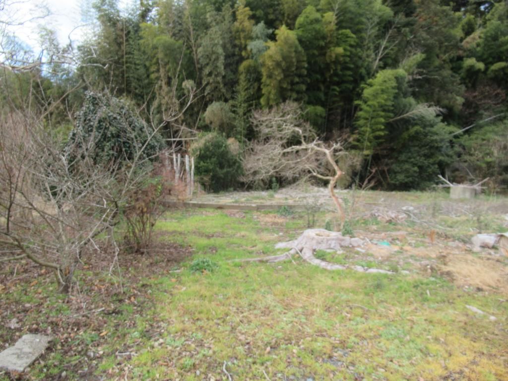1,236 sqm Vacant Land for Sale in Shibayama, Chiba - Thumbnail 3