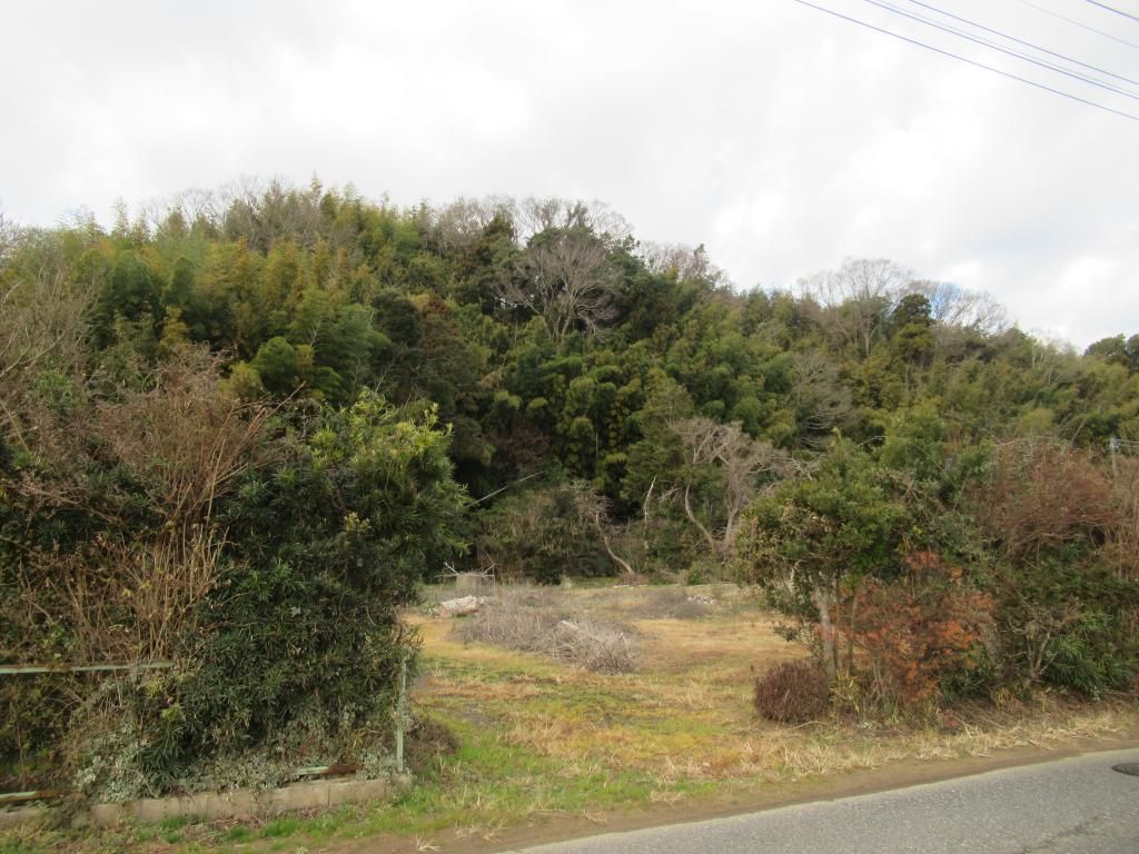 1,236 sqm Vacant Land for Sale in Shibayama, Chiba - Thumbnail 4