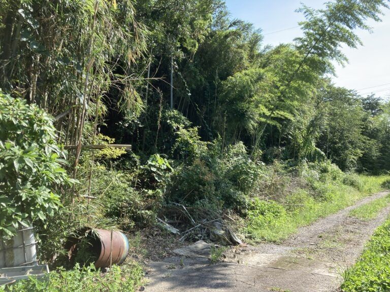 Vacant Land for Sale in Shibushi, Kagoshima - 693.39 sqm Plot - Thumbnail 2