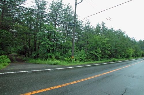 1024 sqm Vacant Land for Sale in Tsumagoi, Gunma - Thumbnail 3