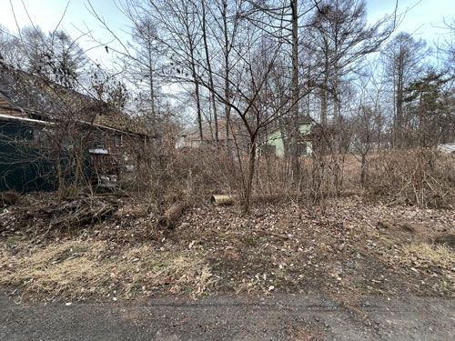 Vacant Land for Sale in Tsumagoi Village, Gunma Prefecture - 315 sqm - Thumbnail 2