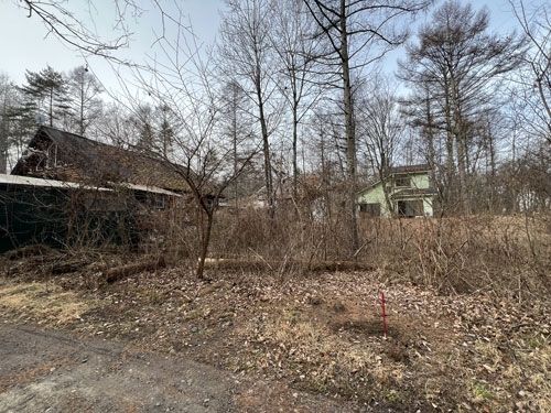 Vacant Land for Sale in Tsumagoi Village, Gunma Prefecture - 315 sqm - Thumbnail 3