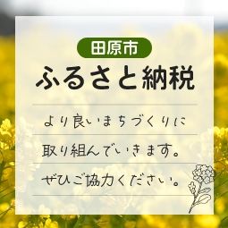 1950 House on 667sqm Land in Tahara City - Thumbnail 4