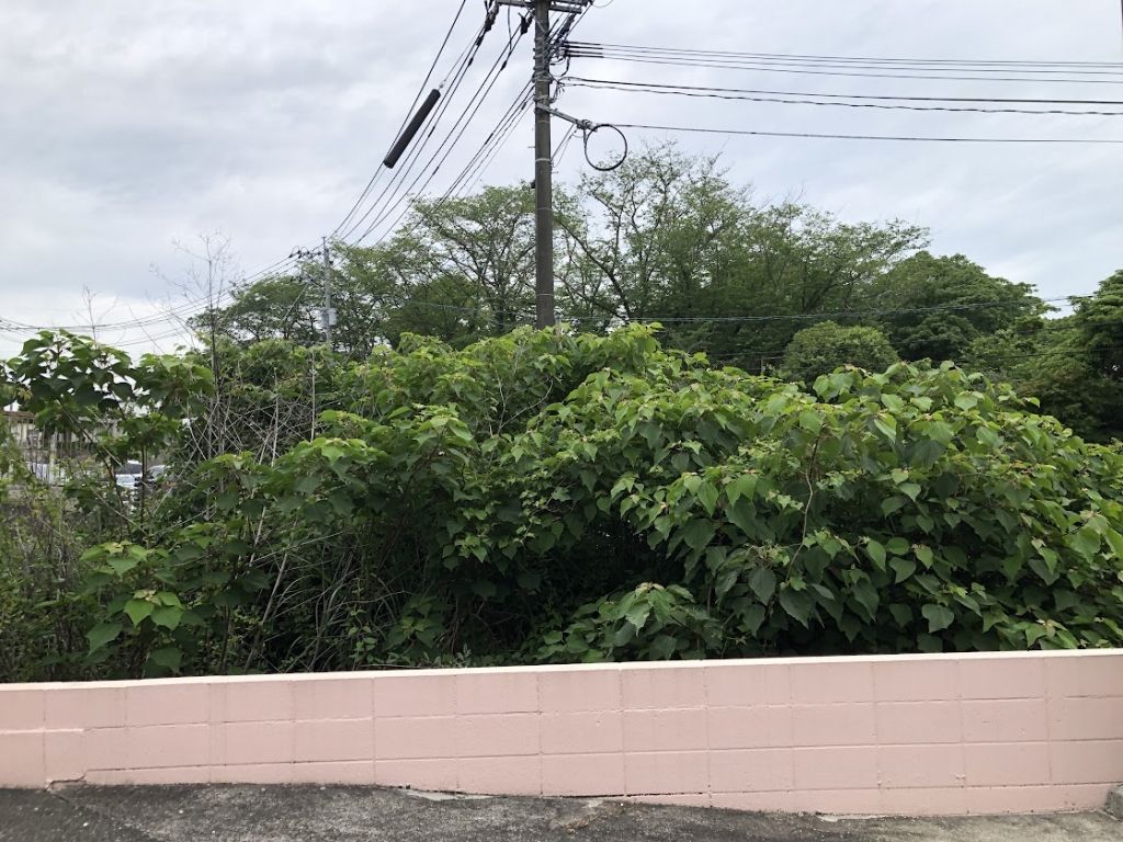 Vacant Land for Sale in Uki City, Kumamoto - 326 sqm Plot - Thumbnail 4