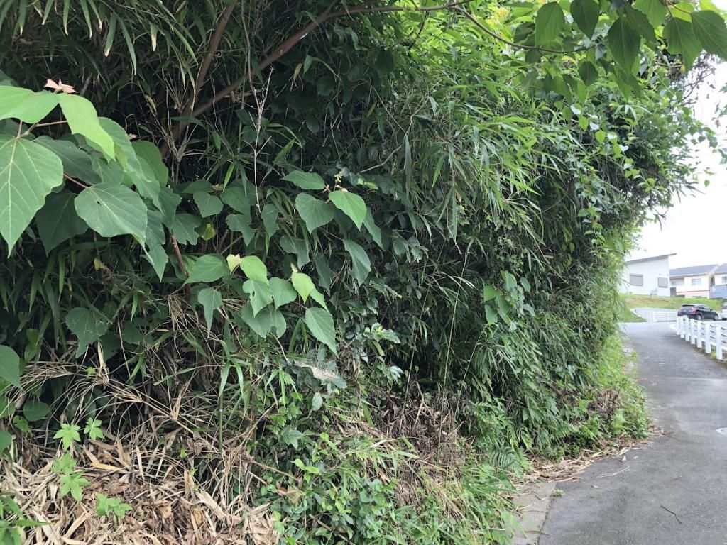 Vacant Land for Sale in Uki City, Kumamoto - 326 sqm Plot - Thumbnail 3