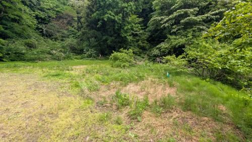 Highland Development Land with Panoramic Views in Sanjo, Niigata - Thumbnail 3